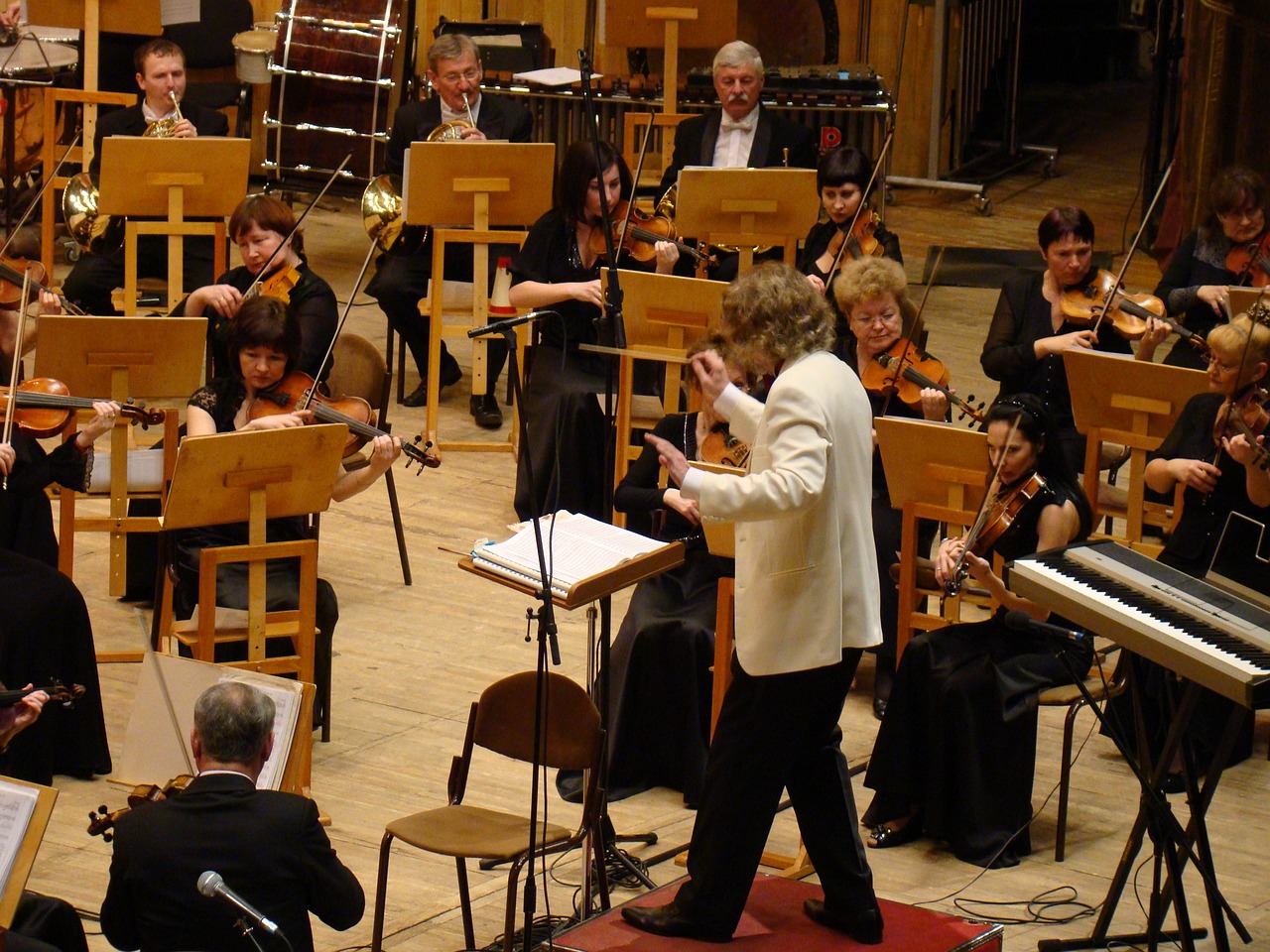 symphony-orchestra-183611_1280